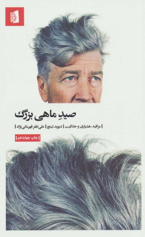 صید ماهی بزرگ (مراقبه هشیاری و خلاقیت)