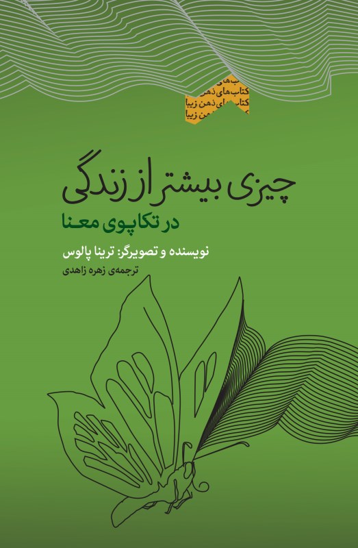 چیزی بیشتر از زندگی (در تکاپوی معنا) مجموعه ذهن زیبا