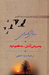 به سرخی آتش به طعم دود (مجموعه شعر) گالینگور - 0