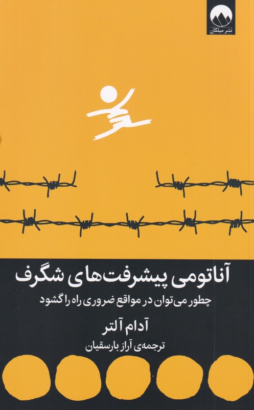 آناتومی پیشرفت های شگرف (چطور می توان در مواقع ضروری راه را گشود) - 0