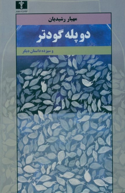 2 پله گودتر و 13 داستان دیگر (مجموعه داستان) - 0