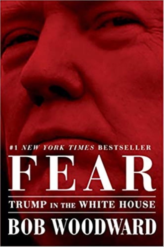 Fear Trump in the White House