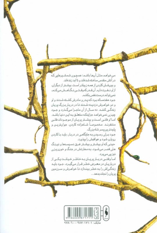 شاهزاده سنگدل (پادشاه پریان 1) - 1