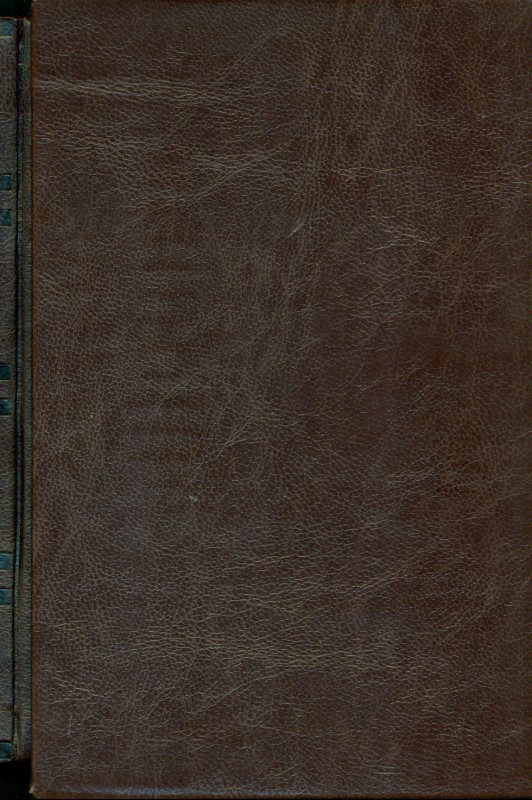 شاهنامه حکیم ابوالقاسم فردوسی (2جلدی) با قاب - 1