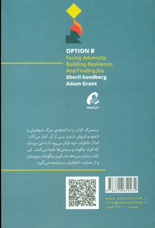 گزینه دوم (رویارویی با مشقت ایجاد تاب‌آوری و یافتن شادی) - 1