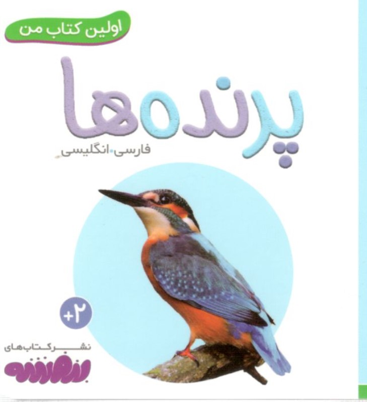 پرنده‌ها (اولین کتاب من)
