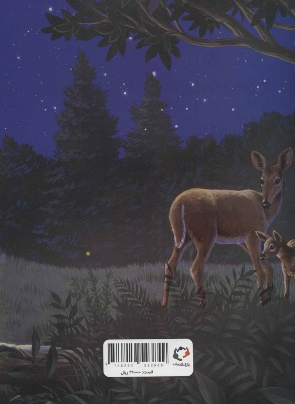 چستر راکون و جیب پر از بوسه - 1