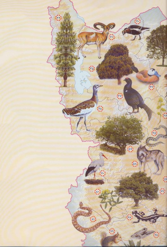 نقشه راهنمای پراکندگی جانوران ایران کد 1626 - 1