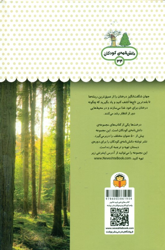 1 فنجان دانستنی درباره درخت‌ها (دانش‌نامه کودکان 34) - 1