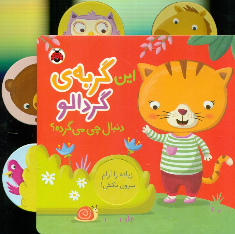 این گربه گردالو دنبال چی میگرده - 0