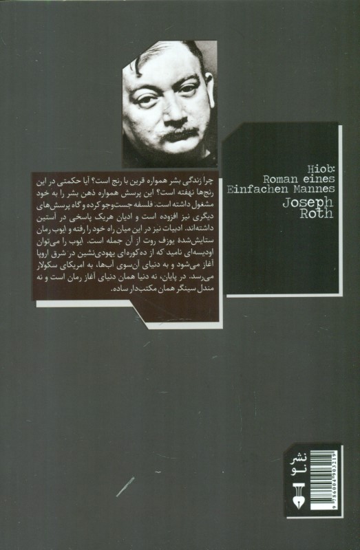 ایوب (رمان مردی معمولی) - 1