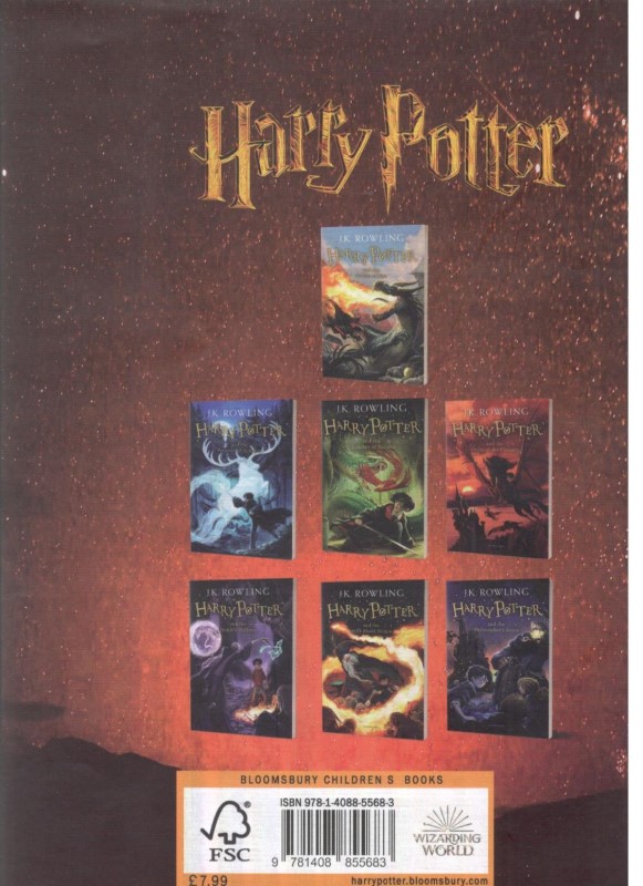 Harry Potter and the goblet of fire 4 - 1
