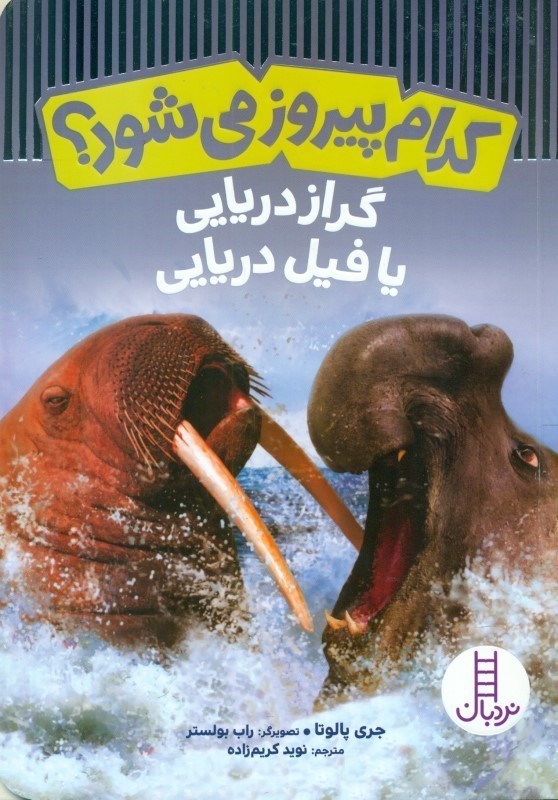 گراز دریایی یا فیل دریایی (کدام پیروز می‌شود)