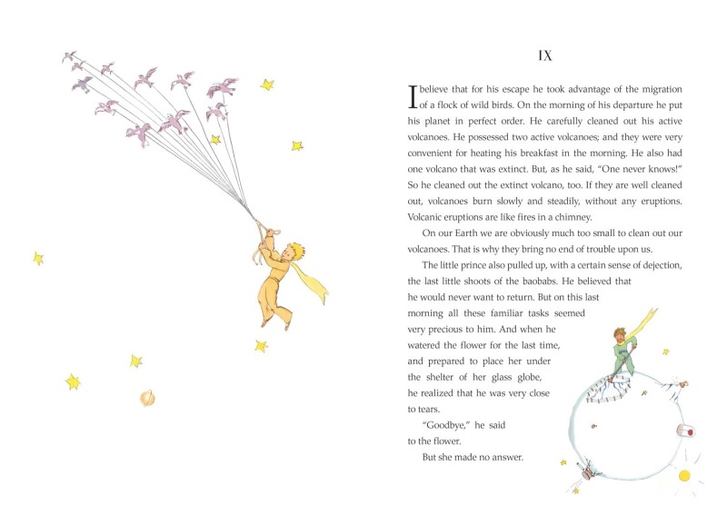 The little prince - 1