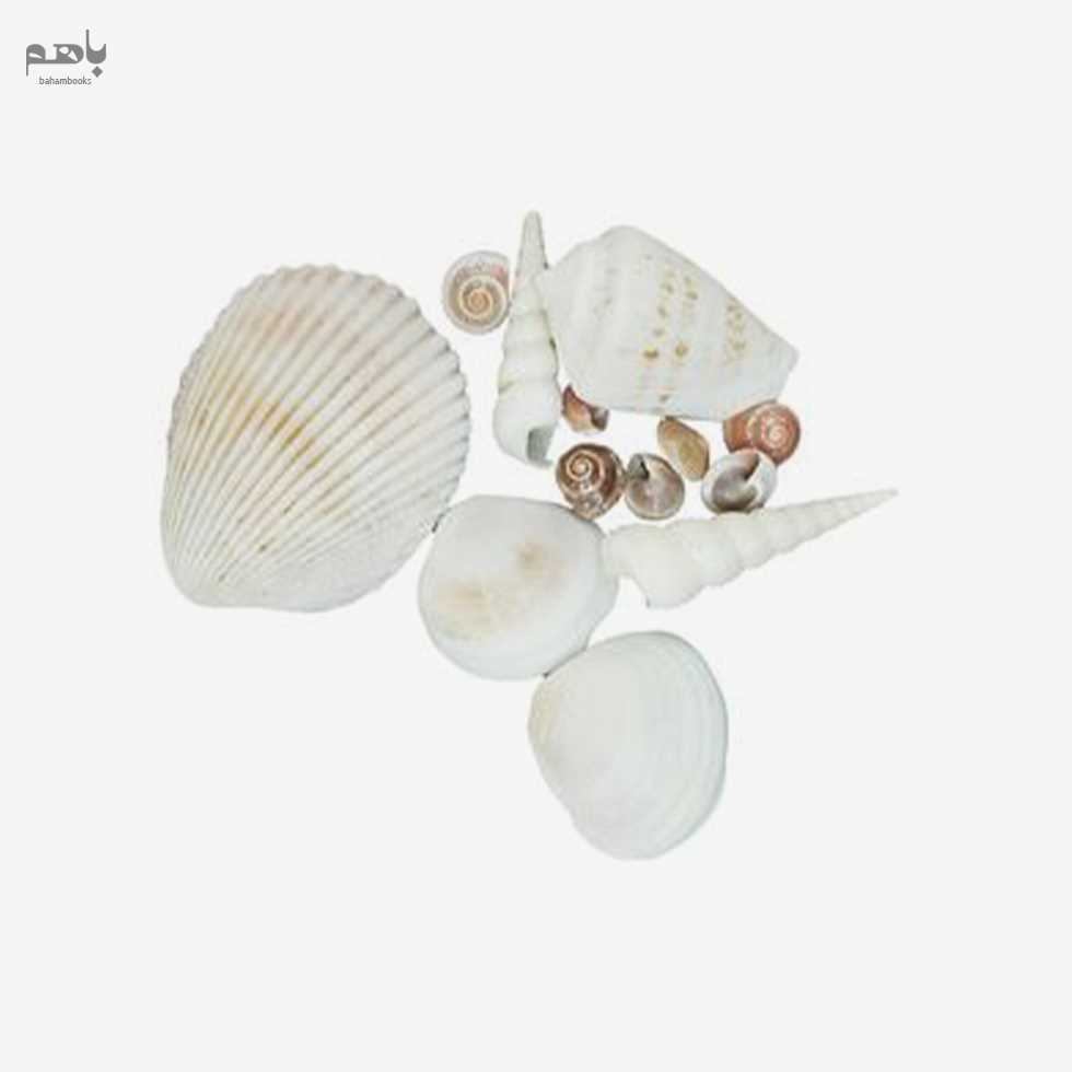 صدف دریایی ماه دونه مدل m406 - 0