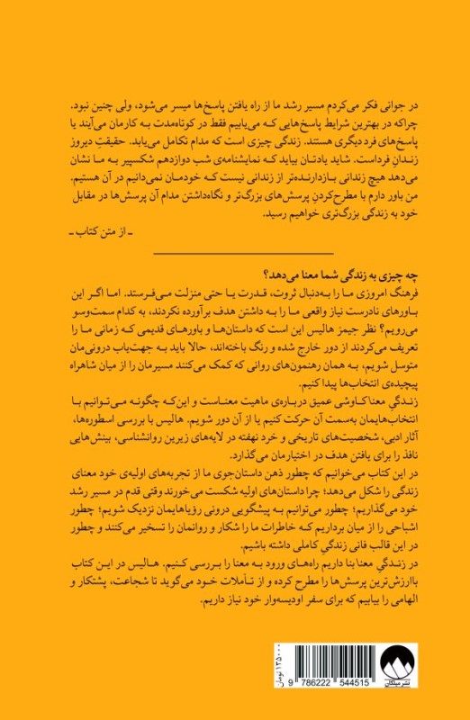 زندگی معنا (بررسی عمیق‌ترین پرسش‌ها و انگیزه‌ها در زندگی) - 1