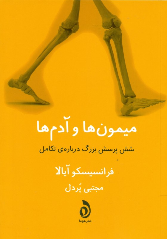 میمون ها و آدم ها