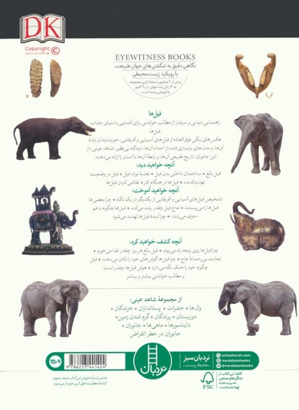 فیل ها (شاهد عینی) - 1