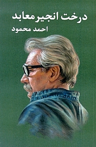 درخت انجیر معابد (2 جلدی) شومیز