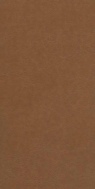 شاهنامه فردوسی 2 بر اساس چاپ مسکو 2 جلدی با قاب - 1