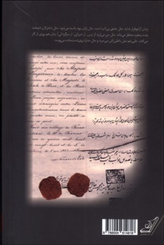 میمون سرگردان - 1