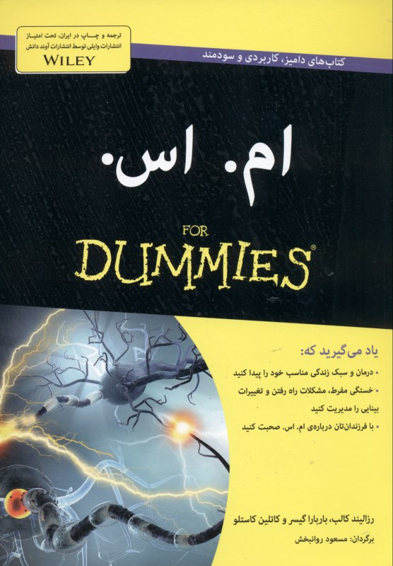 ام اس (دامیز)