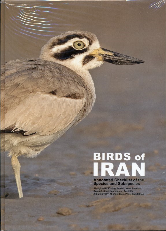 تصویر  پرندگان ايران Birds of Iran