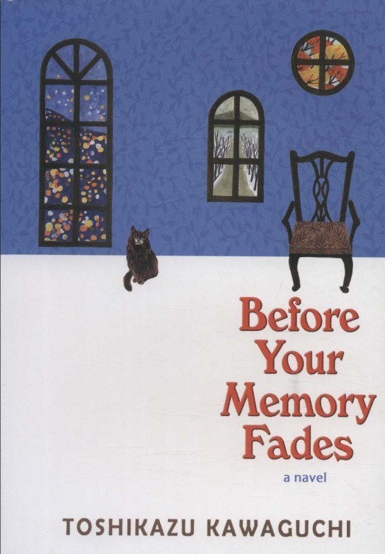 تصویر  Before Your Memory Fades (A Novel)