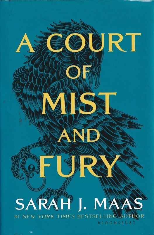 تصویر  A Court of Mist and Fury