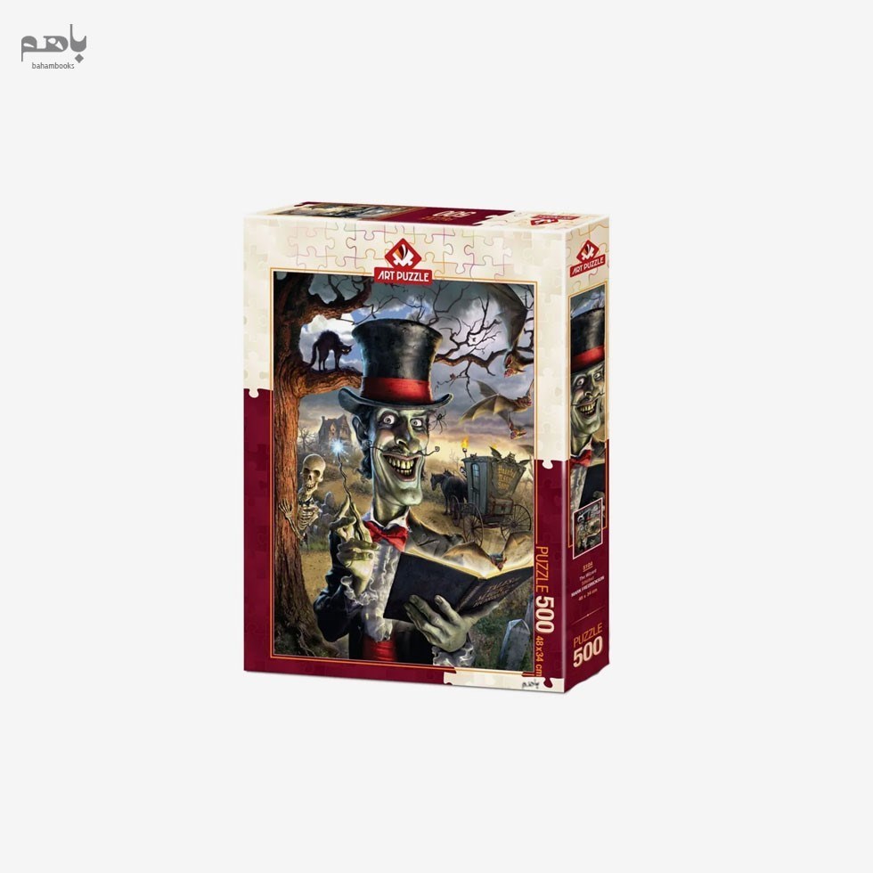 تصویر  آرت پازل Wizard (500 تكه) 5104