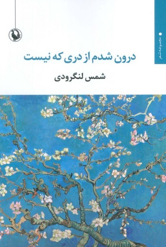 تصویر  درون شدم از دري كه نيست (مجموعه شعر)